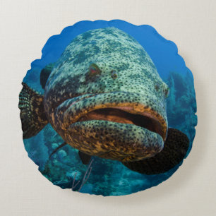 Atlantic Goliath Grouper Round Cushion