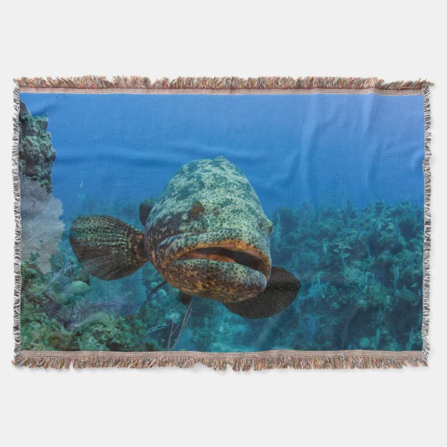Atlantic Goliath Grouper Throw Blanket (Front)
