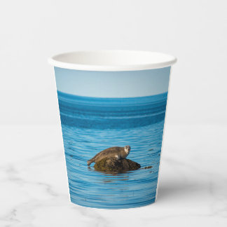 Atlantic Harbour Seal Paper Cups