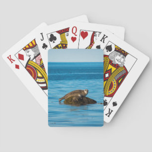 Atlantic Harbour Seal  Playing Cards