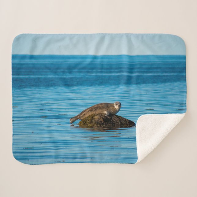 Atlantic Harbour Seal Sherpa Blanket (Front (Horizontal))