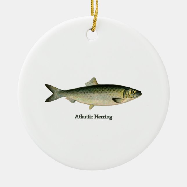 Atlantic Herring Ceramic Tree Decoration (Front)