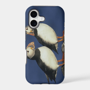 Atlantic Puffin