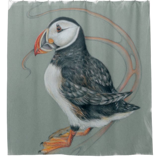 Atlantic Puffin Bird Art Drawing Shower Curtain (Front)
