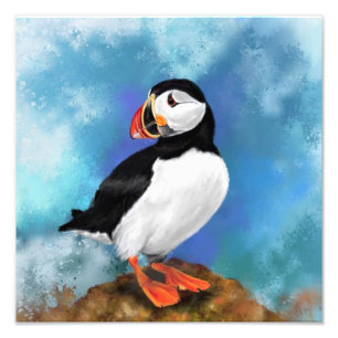 Atlantic Puffin Bird Photo Print - Painting