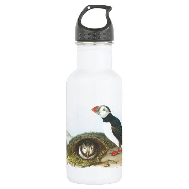 Atlantic Puffin by Audubon 532 Ml Water Bottle (Front)