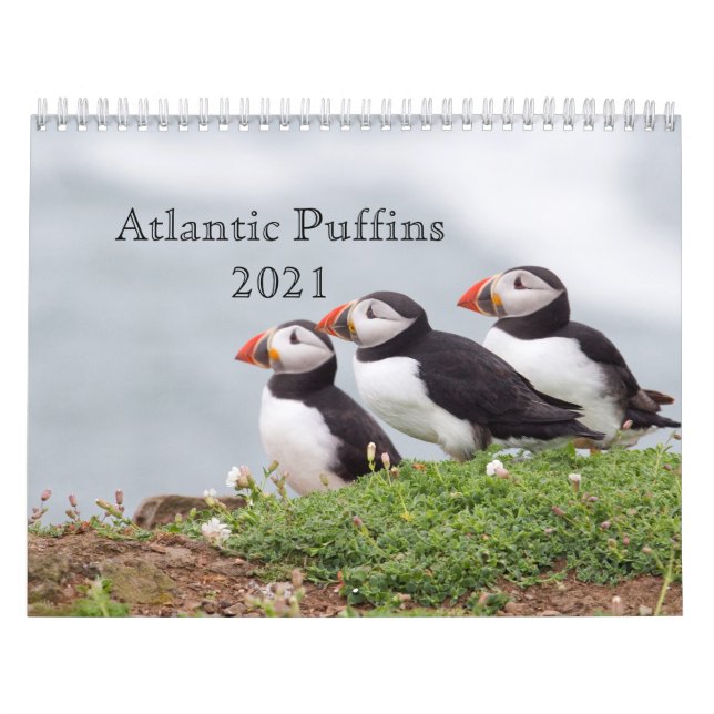 Atlantic Puffin Calendar 2021 (Cover)