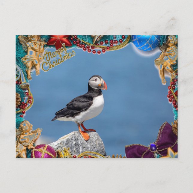 Atlantic Puffin Christmas Card (Front)