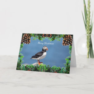 Atlantic Puffin Christmas Card
