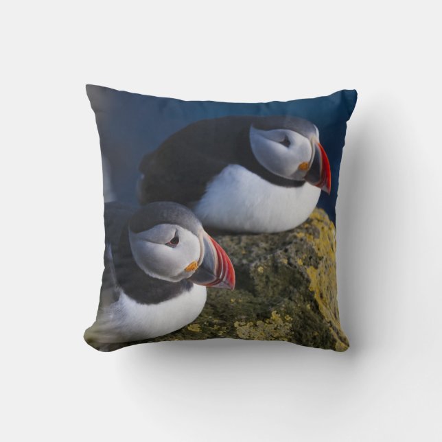 Atlantic Puffin Cushion (Front)