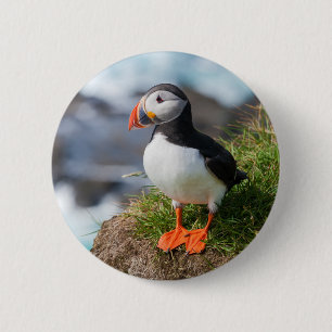 Atlantic Puffin Fratercula Arctica 6 Cm Round Badge