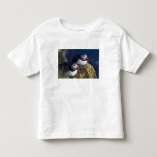 Atlantic Puffin (Fratercula arctica) 7 Toddler T-Shirt