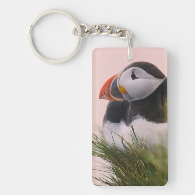 Atlantic Puffin (Fratercula arctica) Key Ring (Front)