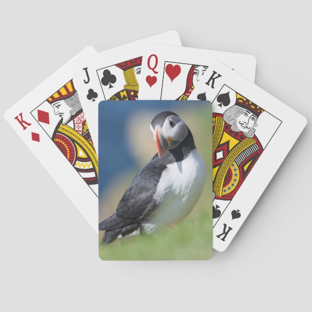 Atlantic Puffin (Fratercula Arctica) On Cliff 2 Playing Cards (Back)