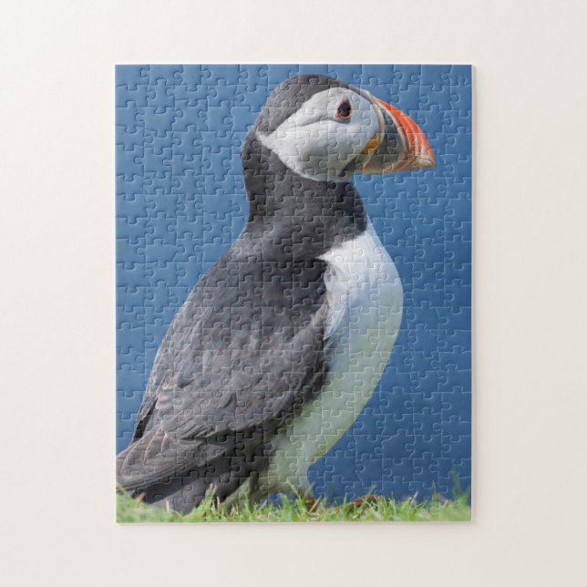 Atlantic Puffin (Fratercula Arctica) On Cliff Jigsaw Puzzle (Vertical)