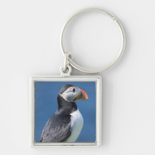 Atlantic Puffin (Fratercula Arctica) On Cliff Key Ring (Front)