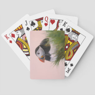 Atlantic Puffin (Fratercula arctica) Playing Cards