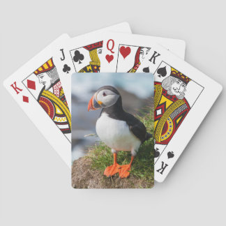Atlantic Puffin Fratercula Arctica Playing Cards