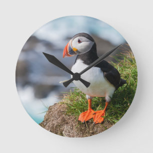 Atlantic Puffin Fratercula Arctica Round Clock