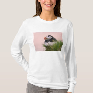 Atlantic Puffin (Fratercula arctica) T-Shirt