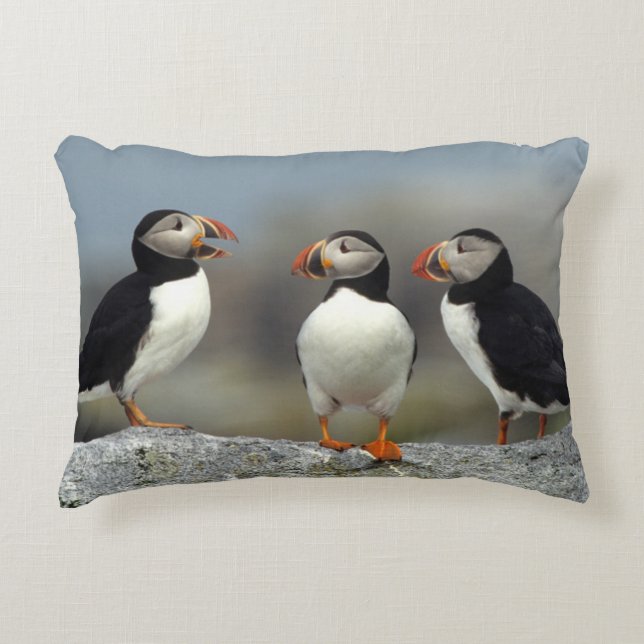 Atlantic Puffin Group Decorative Cushion (Front)