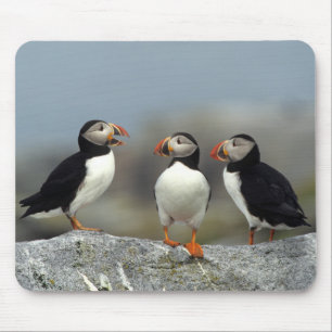 Atlantic Puffin Group Mouse Pad
