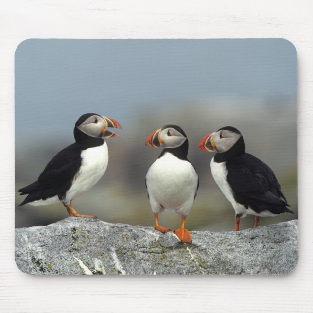 Atlantic Puffin Group Mouse Pad (Front)