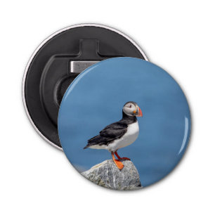 Atlantic Puffin in Machias, Maine Bottle Opener