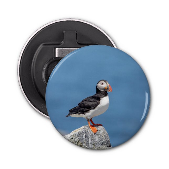 Atlantic Puffin in Machias, Maine Bottle Opener (Front)