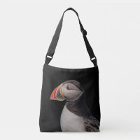 Atlantic Puffin in Machias, Maine