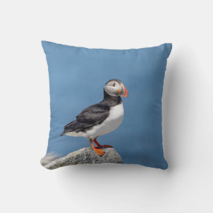 Atlantic Puffin in Machias, Maine Cushion