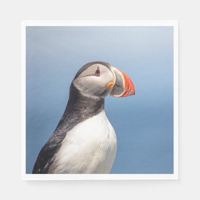 Atlantic Puffin in Machias, Maine Napkin (Front)