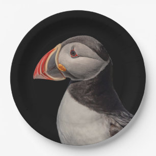 Atlantic Puffin in Machias, Maine Paper Plate