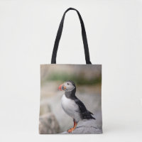 Atlantic Puffin in Machias, Maine