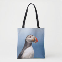 Atlantic Puffin in Machias, Maine