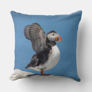 Atlantic Puffin in Machias, ME Cushion