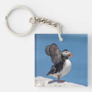 Atlantic Puffin in Machias, ME Key Ring