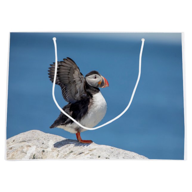 Atlantic Puffin in Machias, ME Large Gift Bag (Front)