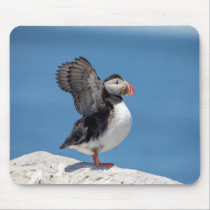 Atlantic Puffin in Machias, ME Mouse Pad