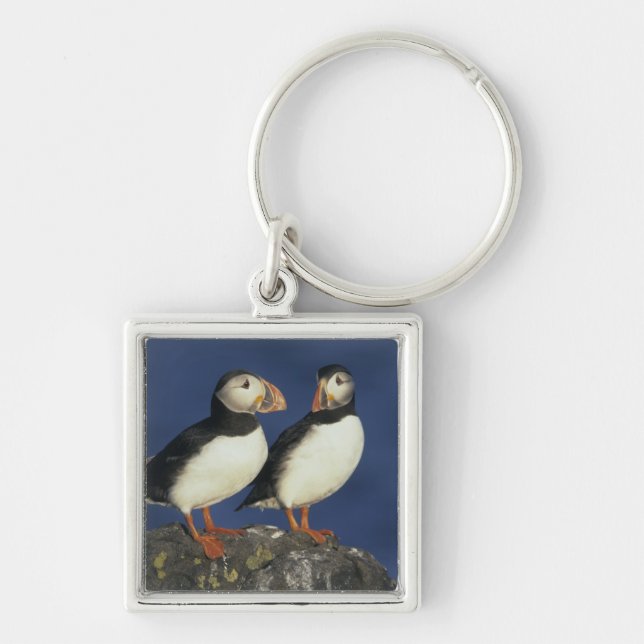 Atlantic Puffin Key Ring (Front)