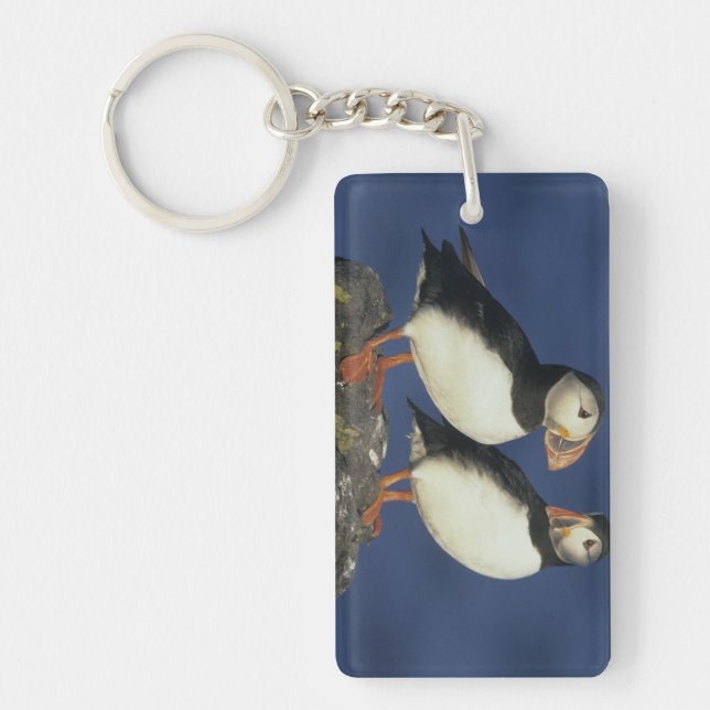 Atlantic Puffin Key Ring (Front)
