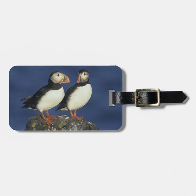 Atlantic Puffin Luggage Tag (Front Horizontal)