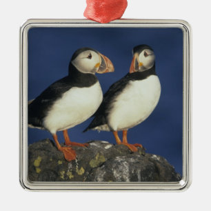 Atlantic Puffin Metal Tree Decoration