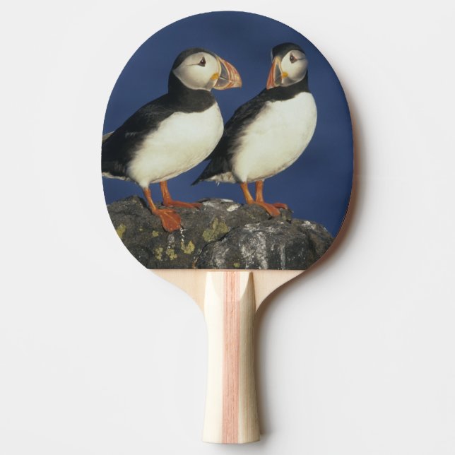Atlantic Puffin Ping Pong Paddle (Front)