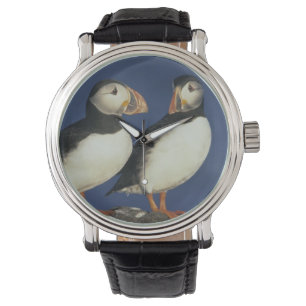 Atlantic Puffin Watch