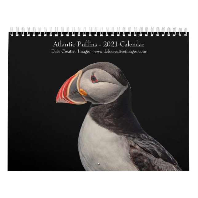 Atlantic Puffins 2021 Calendar (Cover)