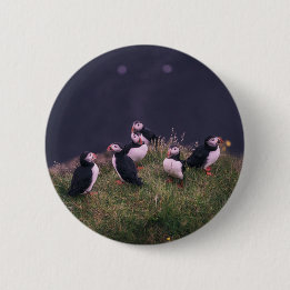 Atlantic Puffins 6 Cm Round Badge