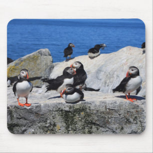 Atlantic Puffins at Machias Seal Island Mouse Pad