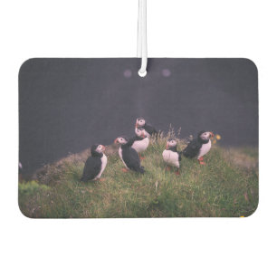 Atlantic Puffins Car Air Freshener