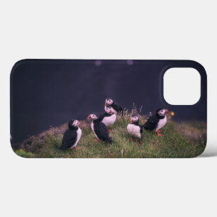 Atlantic Puffins iPhone 13 Case